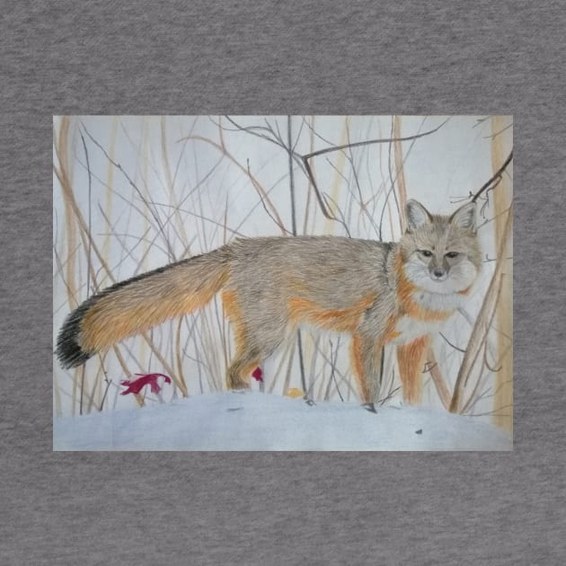 Grey fox by An.D.L.